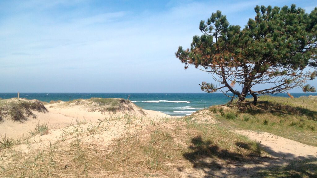 Der Badestrand bei Asserbo