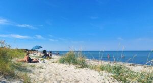 Die Aussicht vom Strand in Fjellerup