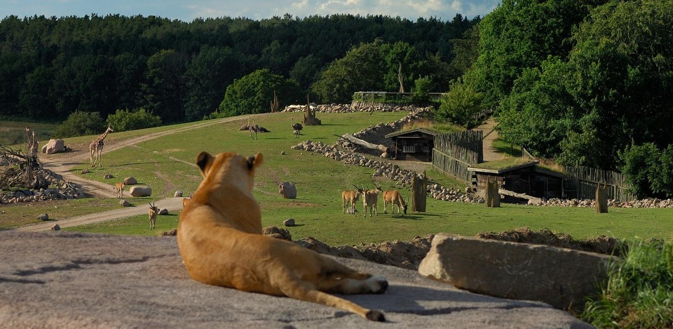 Tierpark