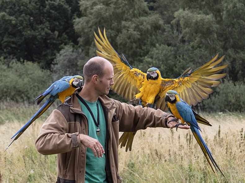 Mann mit Vogel