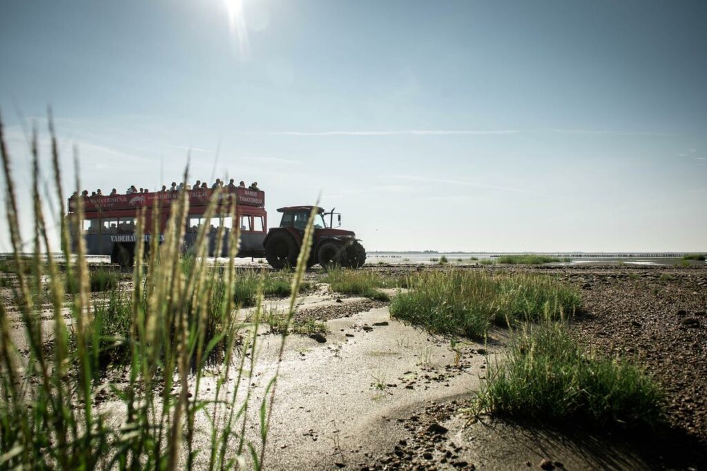 Nationalpark Wattenmeer