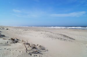 Dßnen-Landschaft bei Vester Husby an der Nordsee, Dänemark