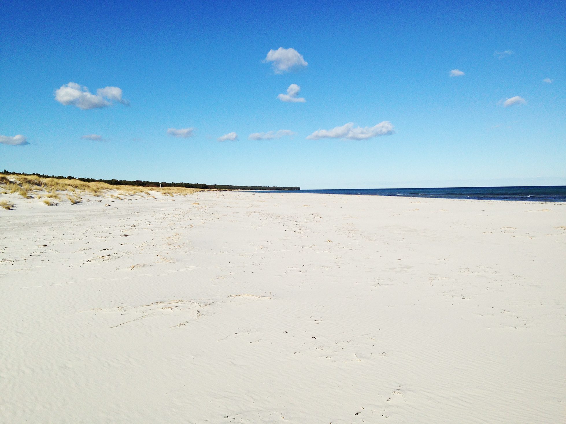 Schöne Natur in Dueodde auf Bornholm