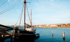 Natur in Ebeltoft in Dänemark
