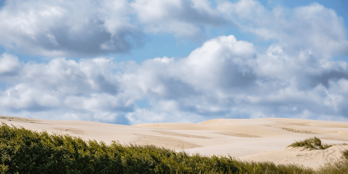Wanderdüne Råbjerg Mile in Nordjütland