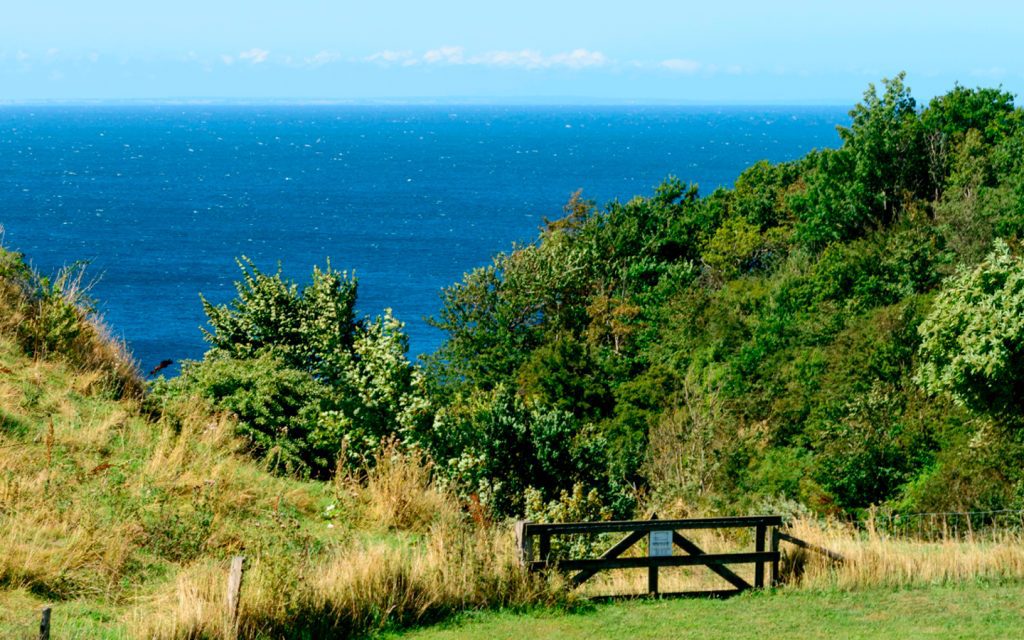 die schöne Natur auf Bornholm