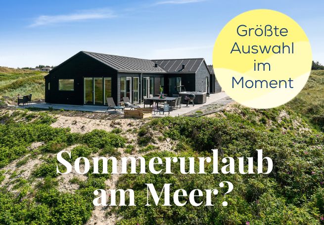Ferienhaus Dänemark im Sommer am Meer