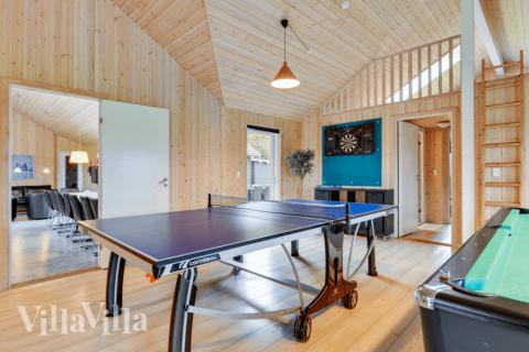 Das Luxusferienhaus 231 für 20 Personen hat einen großen Aktivitätsraum mit u. a. Billard und Darts