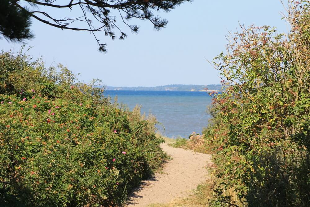 Der Strand in der Nähe von Luxusferienhaus Nr. 265 in Südjütland lädt zum Spazierengehen ein.