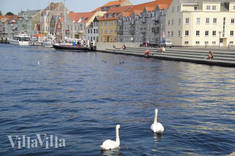 Die Gegend um Südjütland, in der sich das Luxusferienhaus Nr. 241 befindet.