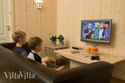 Machen Sie es sich bei einem guten Film gemütlich oder spielen Sie eine Runde an der angeschlossenen Playstation 2