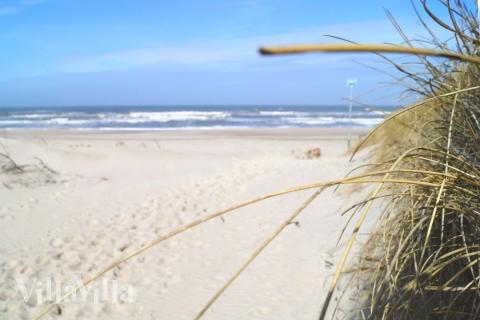 Der Strand in der Nähe von Luxusferienhaus Nr. 145 in Westjütland lädt zum Spazierengehen ein.