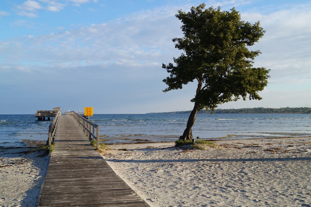 Der Strand in der Nähe von Luxusferienhaus Nr. 244 in Schweden lädt zum Spazierengehen ein.