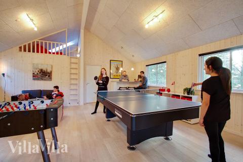 Das Luxusferienhaus 334 für 16 Personen hat einen großen Aktivitätsraum mit u. a. Billard und Darts