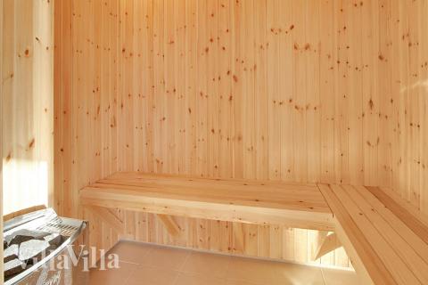 Genießen Sie die heiße Sauna im Luxusferienhaus Nr. 335 für 24 Personen