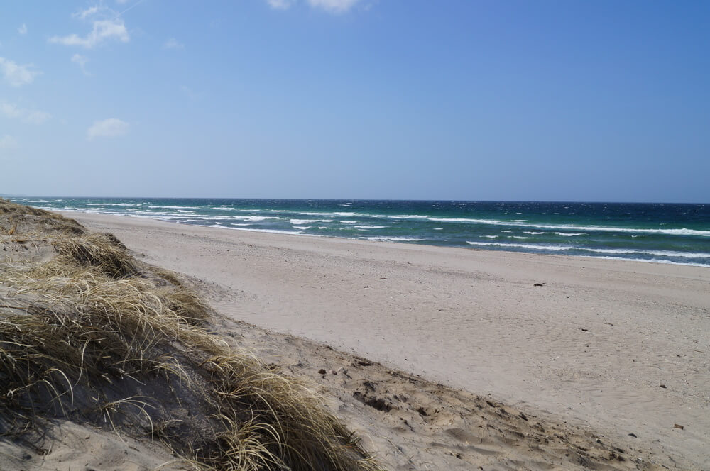 Der Strand in der Nähe von Luxusferienhaus Nr. 339 in Nordseeland lädt zum Spazierengehen ein.