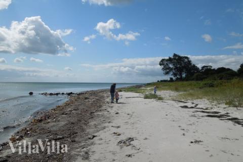 Der Strand in der Nähe von Luxusferienhaus Nr. 355.