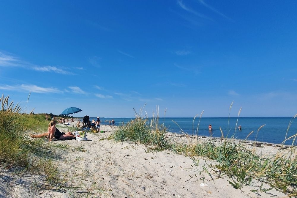 Der herrliche Strand in der Nähe von Luxusferienhaus Nr. 356 bei Ostjütland.