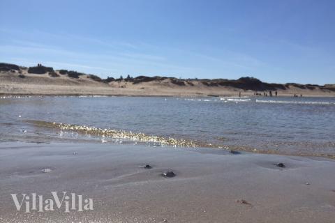 Der herrliche Strand in der Nähe von Luxusferienhaus Nr. 365 bei Nordseeland.