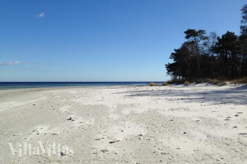 Der Strand in der Nähe von Luxusferienhaus Nr. 370.