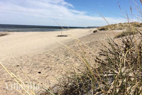 Der Strand in der Nähe von Luxusferienhaus Nr. 369.