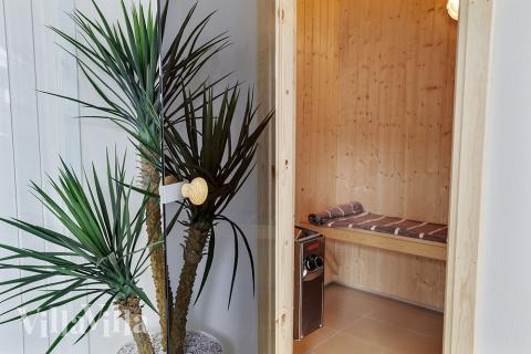 Genießen Sie die heiße Sauna im Luxusferienhaus Nr. 393 für 20 Personen