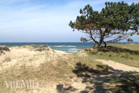 Der Strand in der Nähe von Luxusferienhaus Nr. 436.