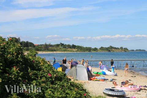 Der herrliche Strand in der Nähe von Luxusferienhaus Nr. 443 bei Ostjütland.
