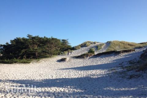 Der Strand in der Nähe von Luxusferienhaus Nr. 449.
