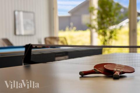 Das Luxusferienhaus 491 für 30 Personen hat einen großen Aktivitätsraum mit u. a. Billard und Darts