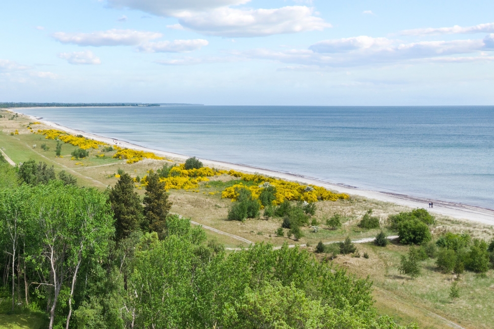 Machen Sie Urlaub im Luxusferienhaus Nr. 509 in Lolland/Falster/Mön.