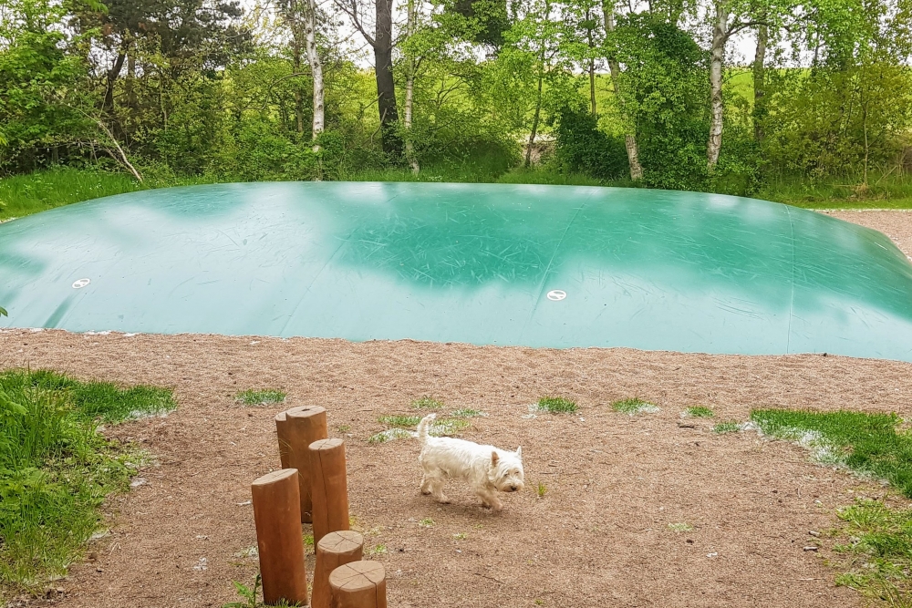 Die Gegend um Lolland/Falster/Mön, in der sich das Luxusferienhaus Nr. 515 befindet.