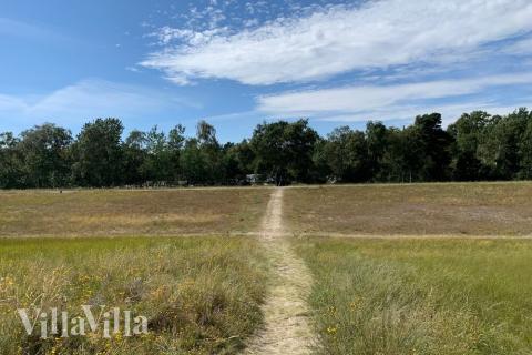 Der herrliche Strand in der Nähe von Luxusferienhaus Nr. 507 bei Lolland/Falster/Mön.