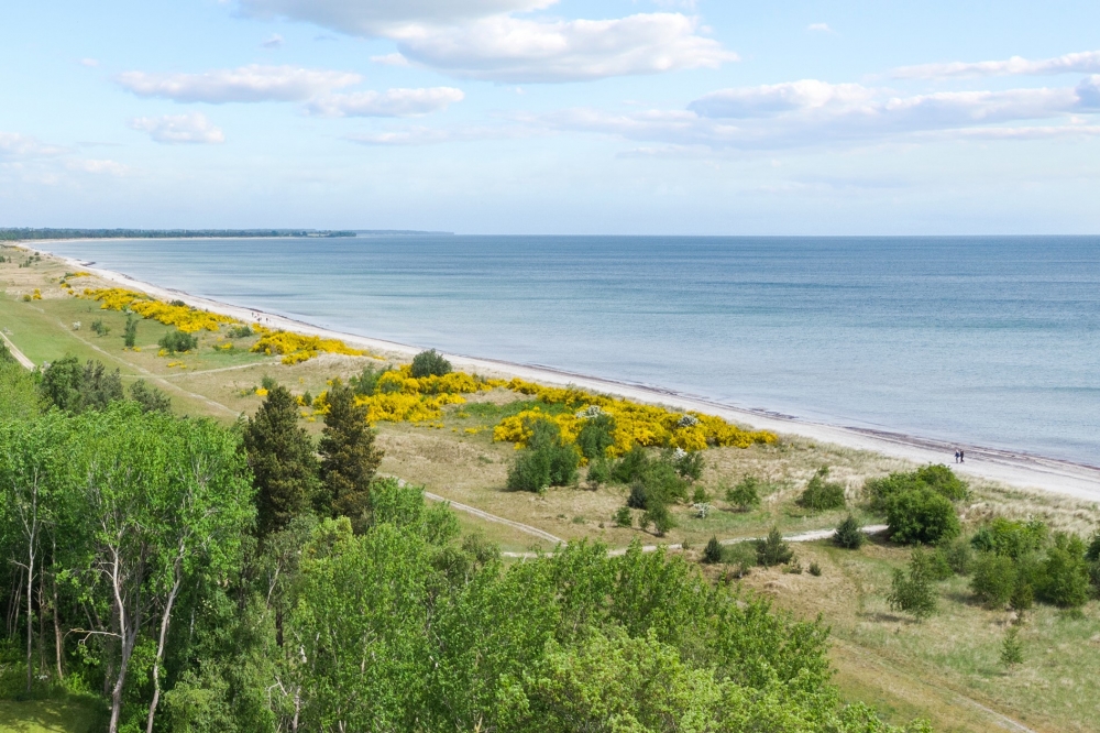 Machen Sie Urlaub im Luxusferienhaus Nr. 506 in Lolland/Falster/Mön.