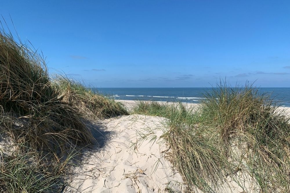 Der Strand in der Nähe von Luxusferienhaus Nr. 516.