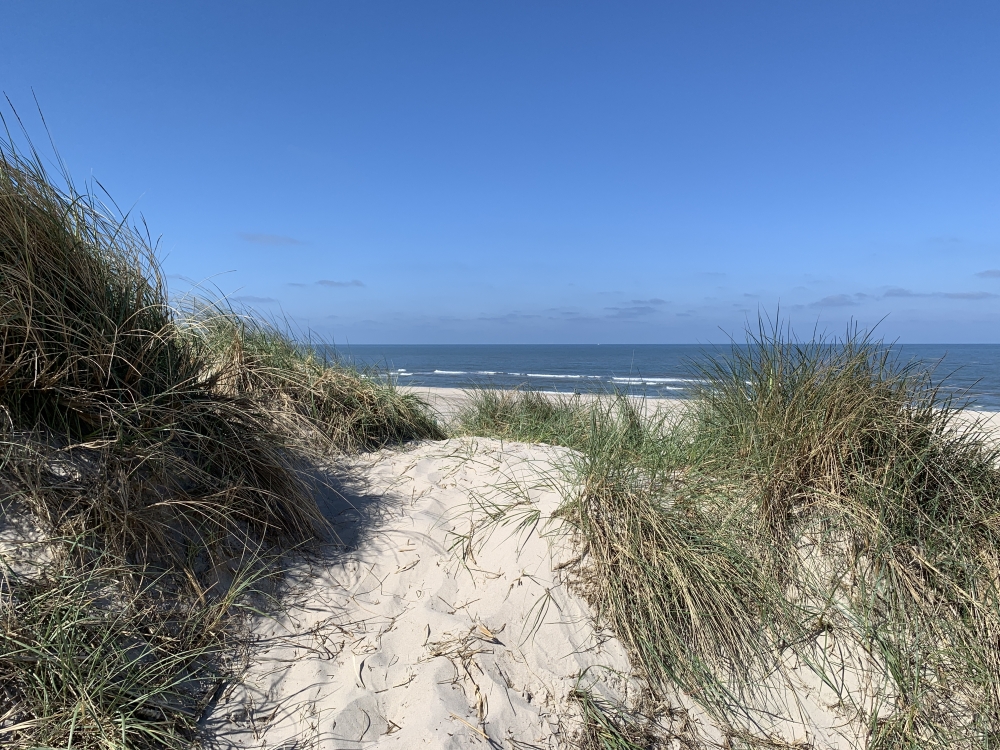 Der Strand in der Nähe von Luxusferienhaus Nr. 536.