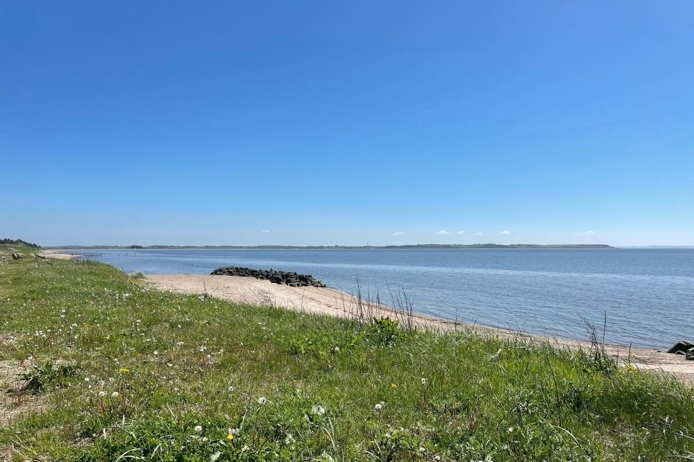 Der herrliche Strand in der Nähe von Luxusferienhaus Nr. 539 bei Limfjord.