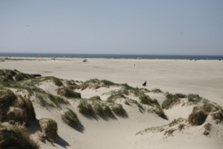 Der herrliche Strand in der Nähe von Luxusferienhaus Nr. 571 bei Südjütland.