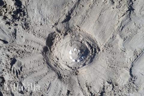 Der Strand in der Nähe von Luxusferienhaus Nr. 591 in Südjütland lädt zum Spazierengehen ein.