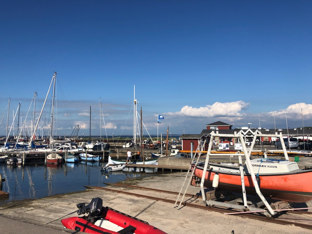 Machen Sie Urlaub im Luxusferienhaus Nr. 582 in Nordseeland.