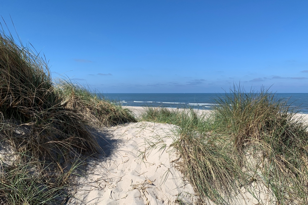 Der Strand in der Nähe von Luxusferienhaus Nr. 608.