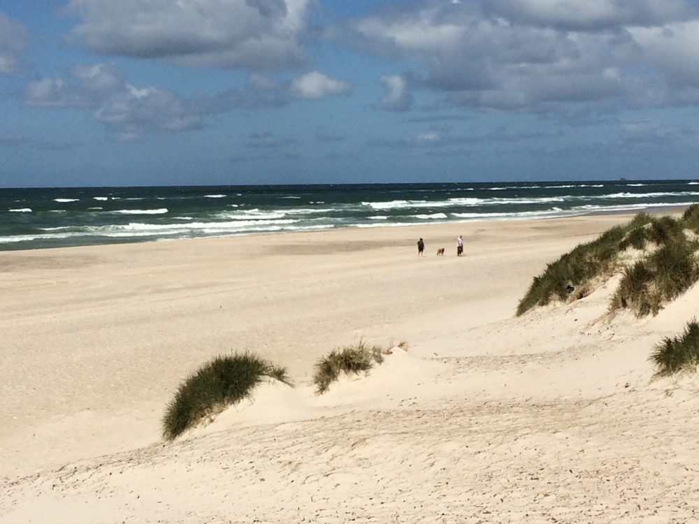 Der Strand in der Nähe von Luxusferienhaus Nr. 627.