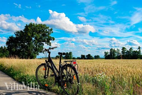 Machen Sie Urlaub im Luxusferienhaus Nr. 644 in Lolland/Falster/Mön.