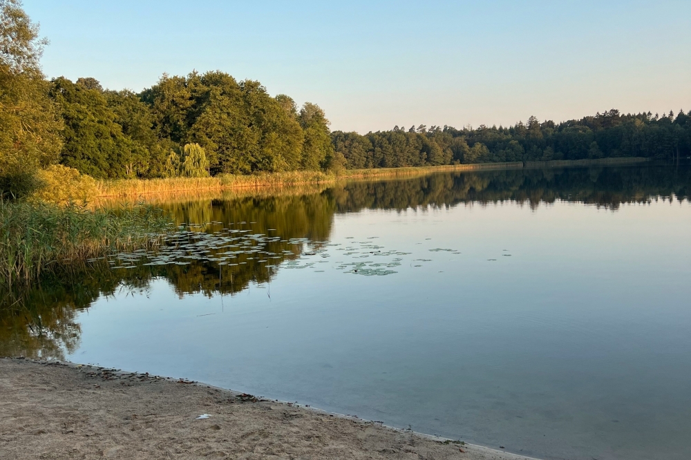 Machen Sie Urlaub im Luxusferienhaus Nr. 770 in Deutschland.