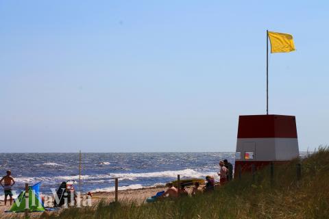 Der herrliche Strand in der Nähe von Luxusferienhaus Nr. 649 bei Lolland/Falster/Mön.