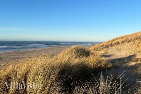 Der Strand in der Nähe von Luxusferienhaus Nr. 672.