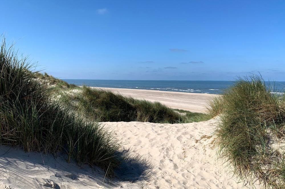 Der Strand in der Nähe von Luxusferienhaus Nr. 268.