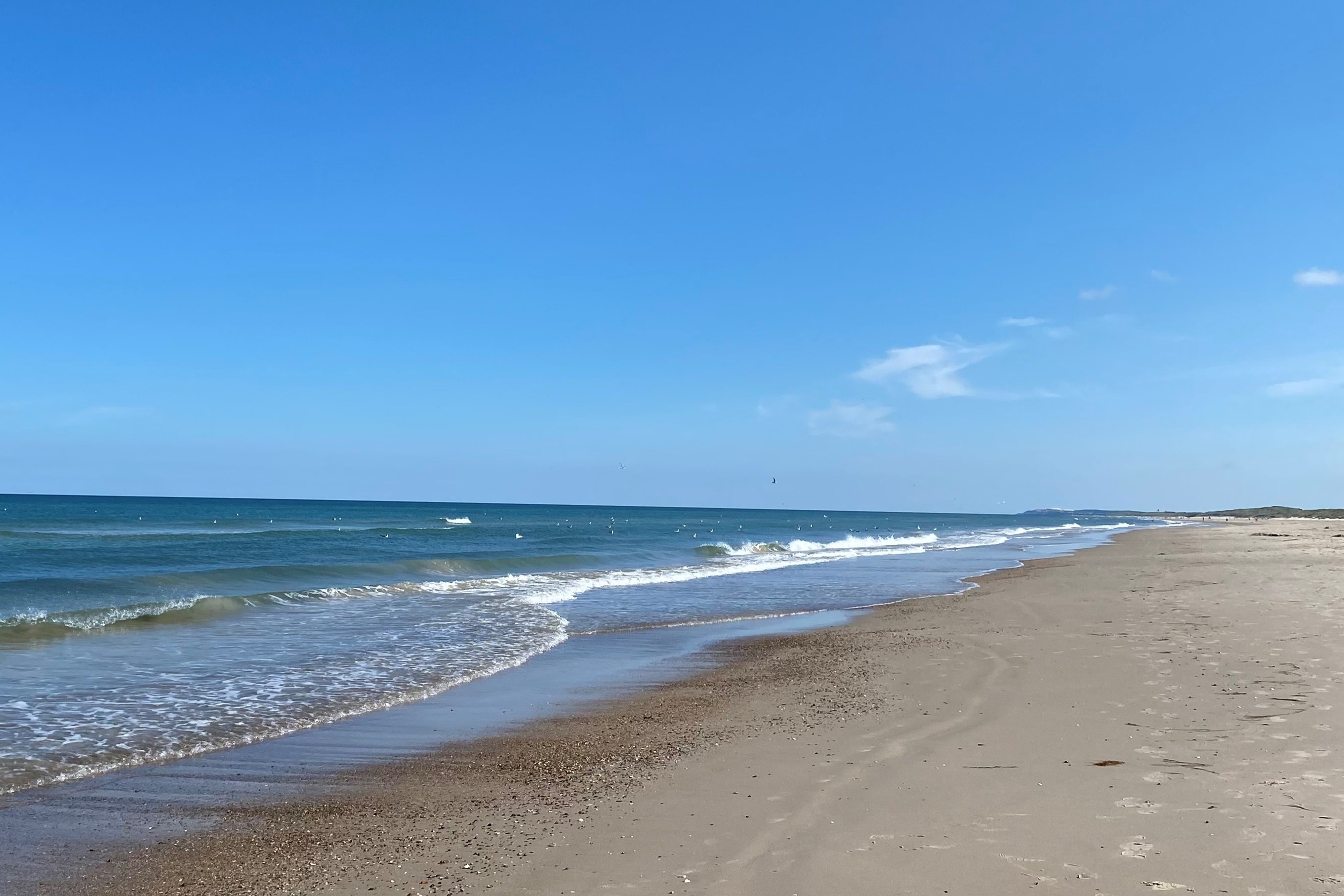 Der Strand in der Nähe von Luxusferienhaus Nr. 683.