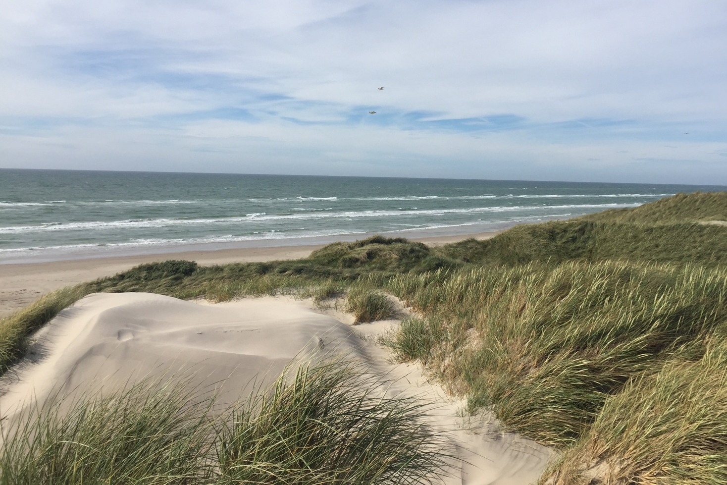 Machen Sie Urlaub im Luxusferienhaus Nr. 683 in Nordjütland.