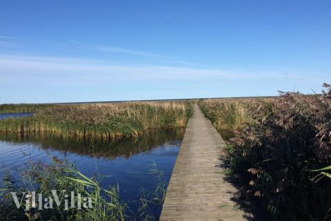 Machen Sie Urlaub im Luxusferienhaus Nr. 685 in Nordseeland.